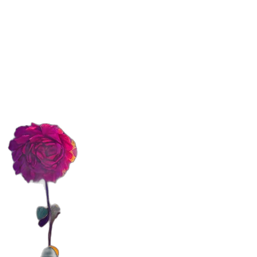 flower, umbrella, staff, crown transparent PNG cut-out