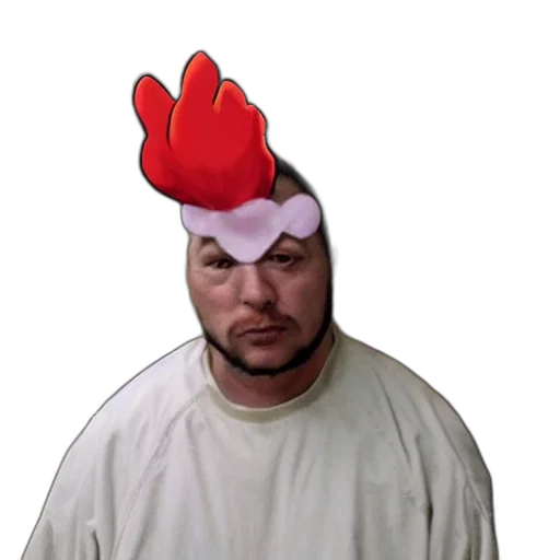 hat, animal, creature, crown transparent PNG cut-out