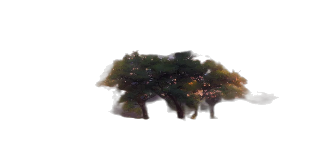 tree, crown, hair, hat transparent PNG cut-out