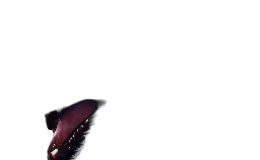 dragon, creature, animal, shoes transparent PNG cut-out