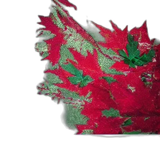 hat, crown, mask, flower transparent PNG cut-out