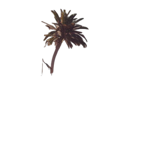 tree, staff, hair, weapon transparent PNG cut-out