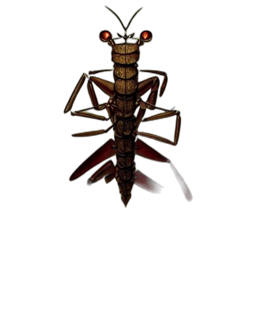 animal, creature, staff, dragon transparent PNG cut-out