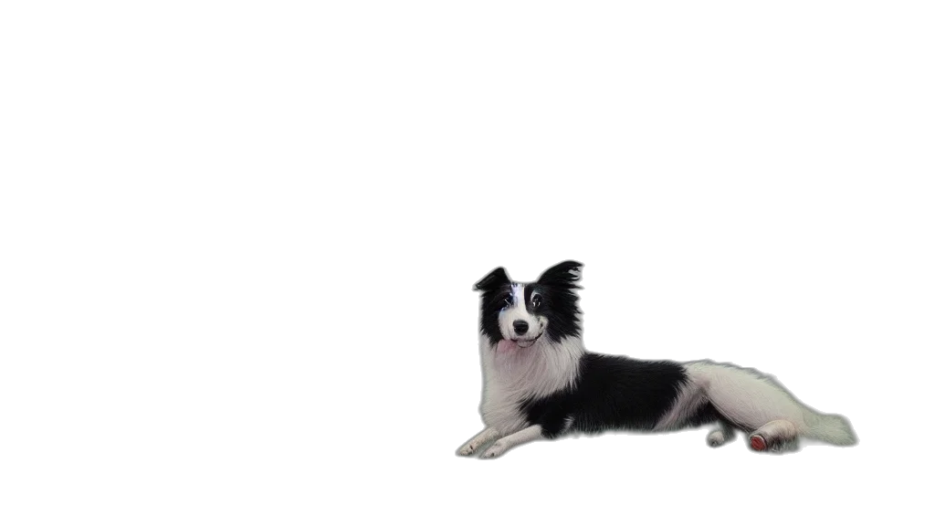 animal, creature, staff, hair transparent PNG cut-out