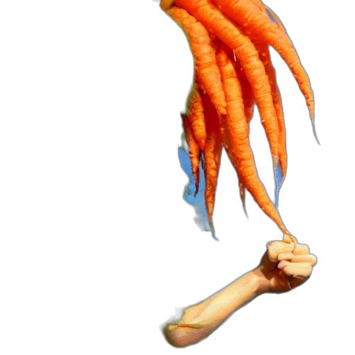 food, weapon, staff, creature transparent PNG cut-out