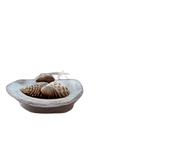 food, furniture, jewelry, shoes transparent PNG cut-out