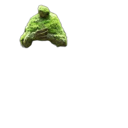 hat, umbrella, creature, animal transparent PNG cut-out
