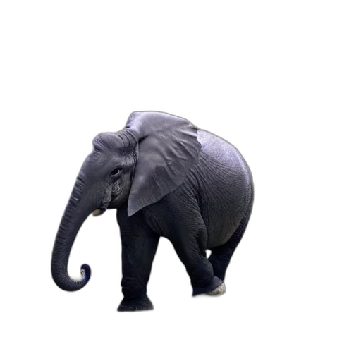 animal, creature, umbrella, staff transparent PNG cut-out