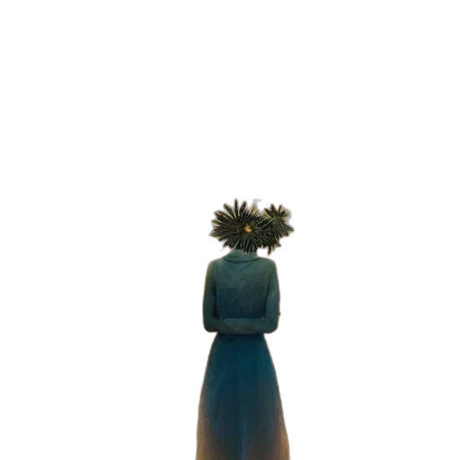 dress, crown, hair, bottle transparent PNG cut-out