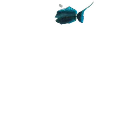 animal, staff, creature, weapon transparent PNG cut-out