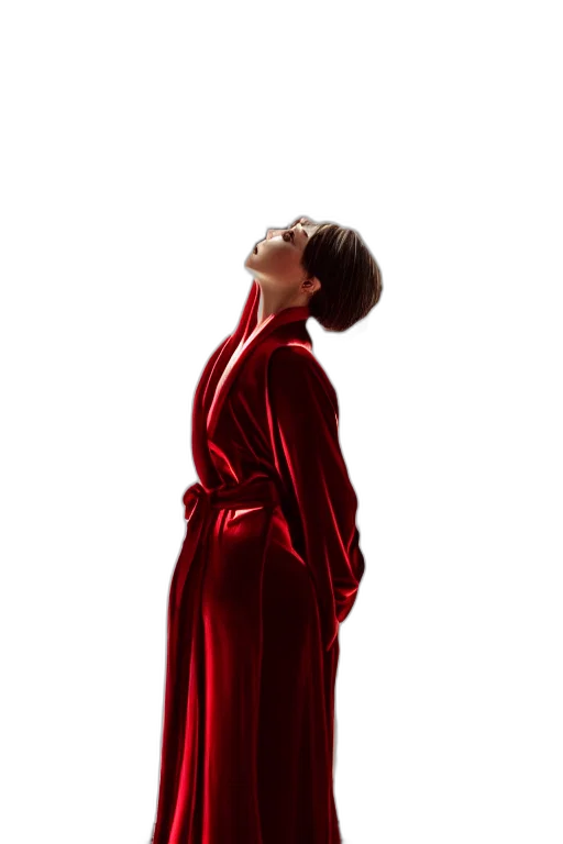 dress, jacket, red, stunning transparent PNG cut-out