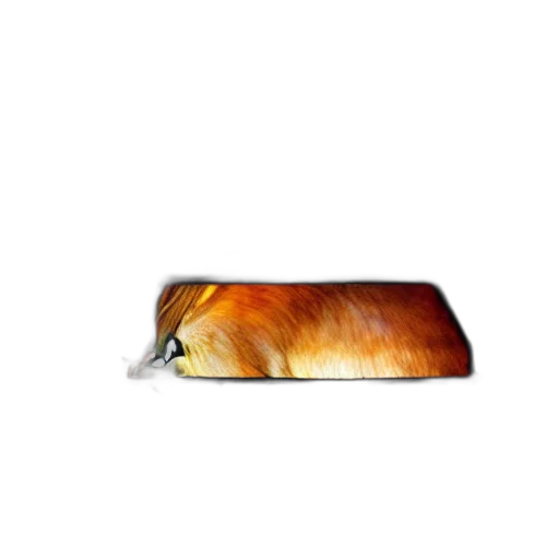 animal, food, weapon, creature transparent PNG cut-out