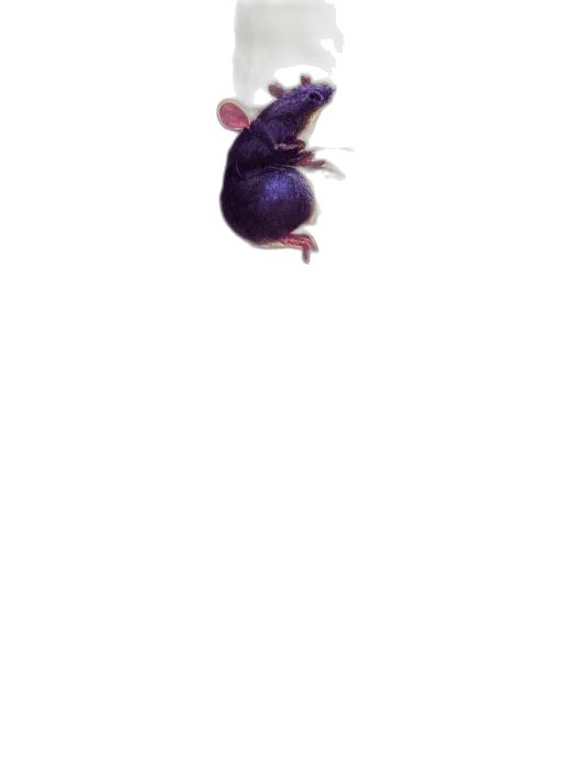 animal, creature, hair, robot transparent PNG cut-out