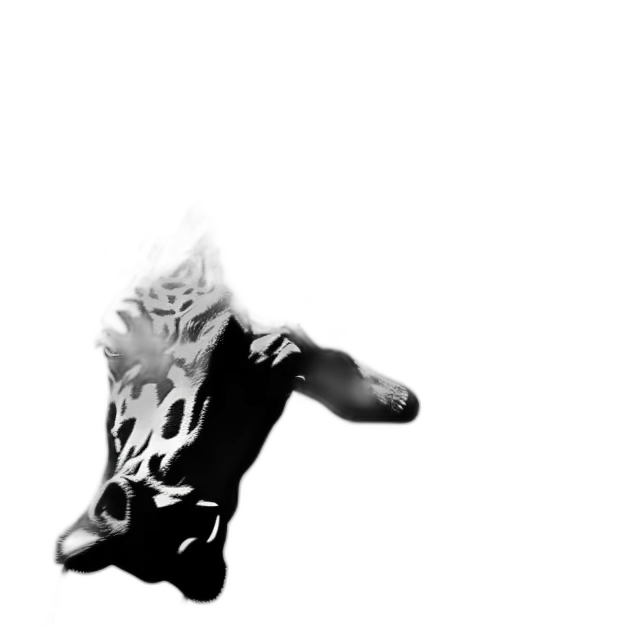 mask, creature, dragon, animal transparent PNG cut-out