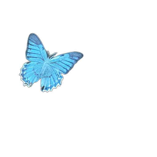 animal, creature, flower, dragon transparent PNG cut-out