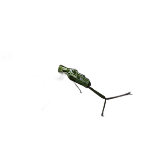 staff, animal, creature, weapon transparent PNG cut-out