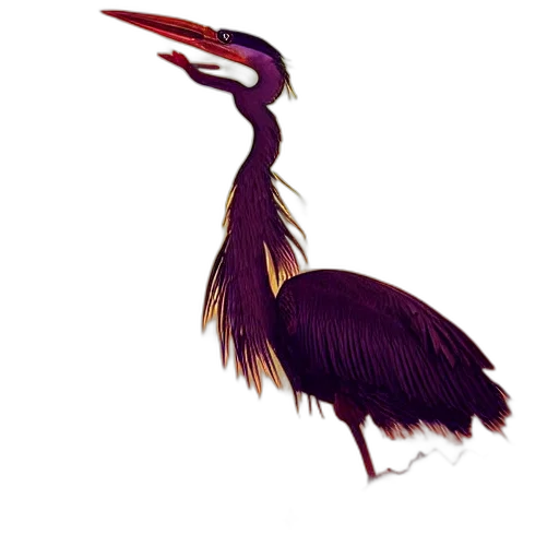 animal, staff, hair, crown transparent PNG cut-out
