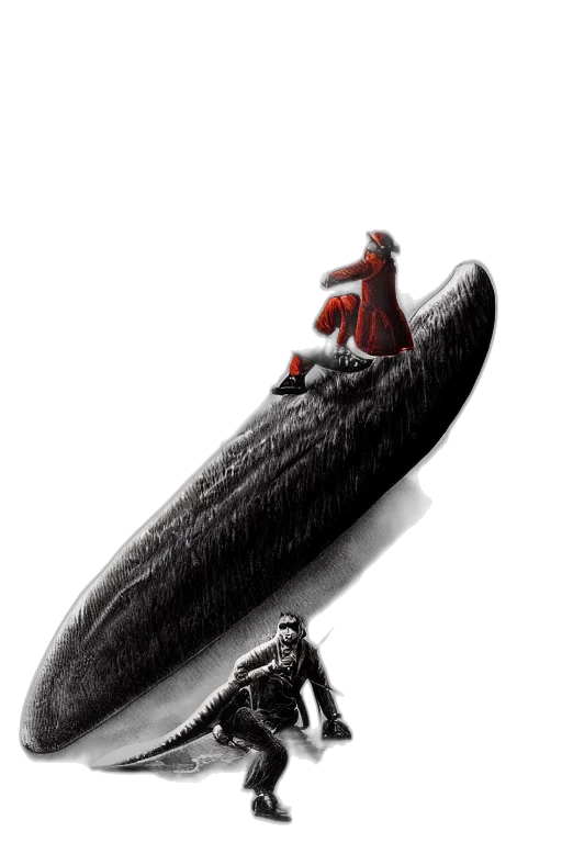 sword, shoes, weapon, animal transparent PNG cut-out