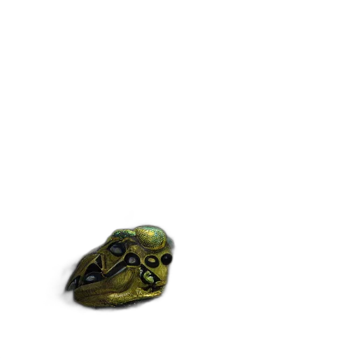 creature, animal, mask, hat transparent PNG cut-out