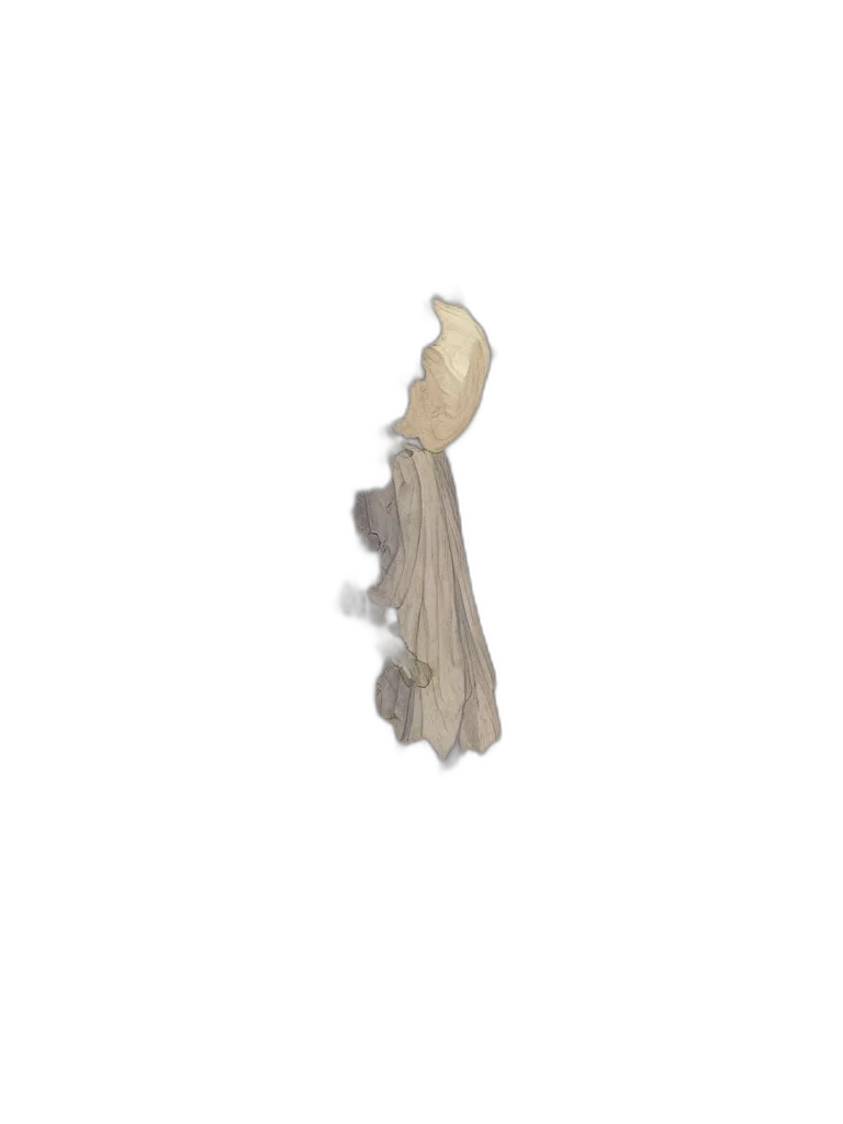 hair, dress, crown, jewelry transparent PNG cut-out