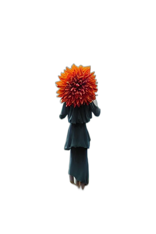 flower, staff, umbrella, jacket transparent PNG cut-out