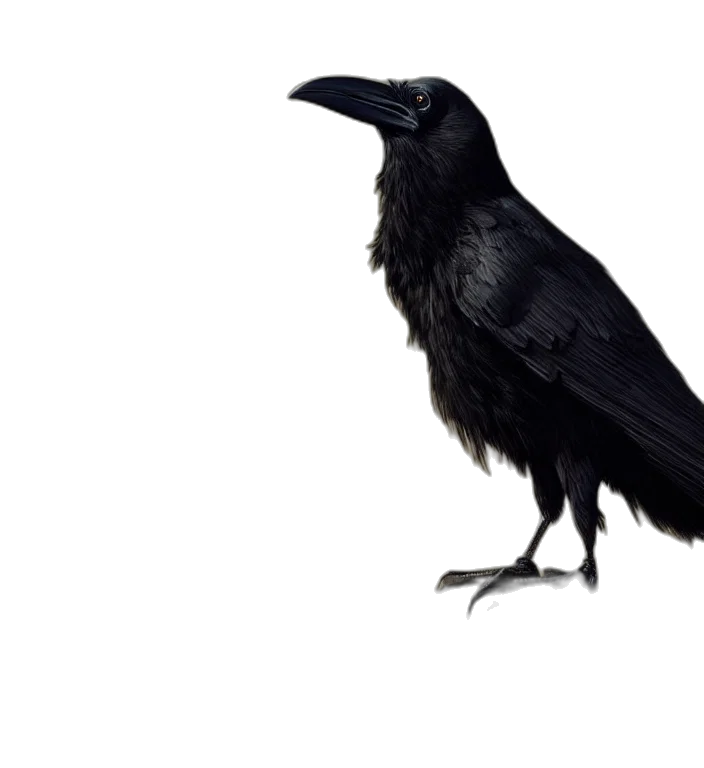 animal, creature, staff, dress transparent PNG cut-out