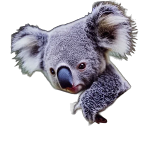 animal, creature, hat, staff transparent PNG cut-out