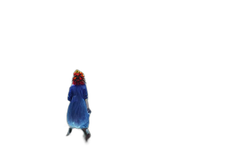 dress, hair, creature, animal transparent PNG cut-out