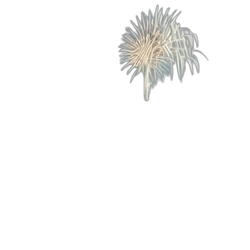 flower, crown, hair, staff transparent PNG cut-out