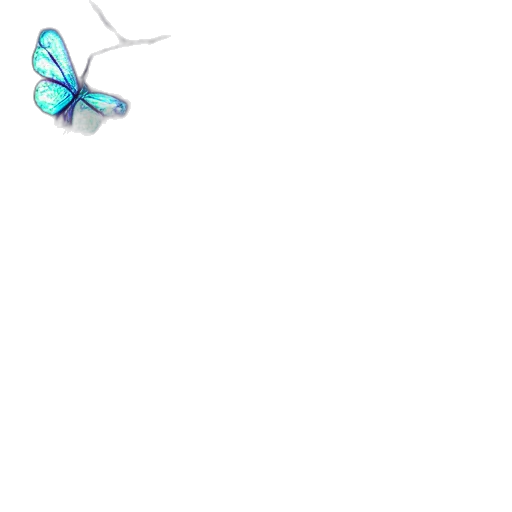 animal, staff, flower, creature transparent PNG cut-out
