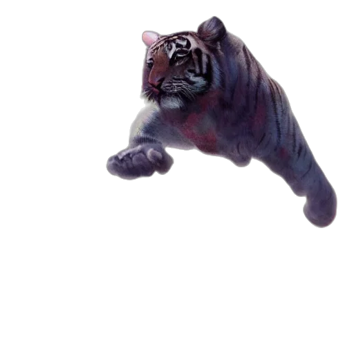 creature, animal, staff, dragon transparent PNG cut-out