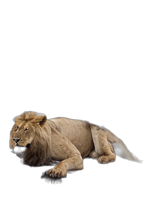 animal, creature, crown, staff transparent PNG cut-out
