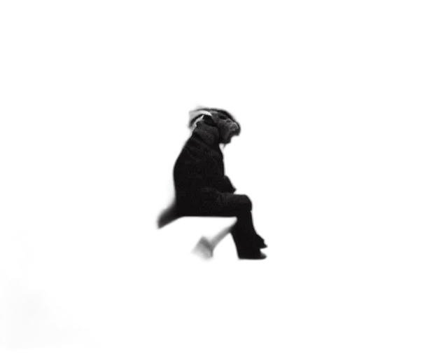 animal, shoes, creature, dragon transparent PNG cut-out