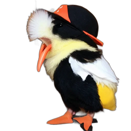 hat, animal, staff, creature transparent PNG cut-out