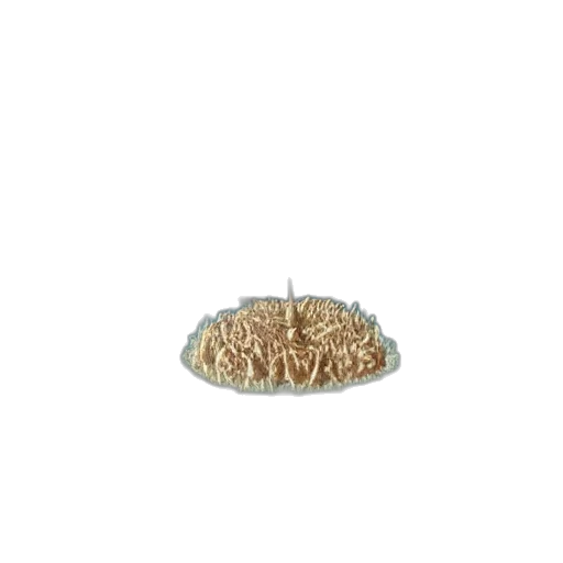 food, jewelry, crown, hat transparent PNG cut-out