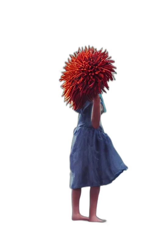 dress, hair, crown, hat transparent PNG cut-out