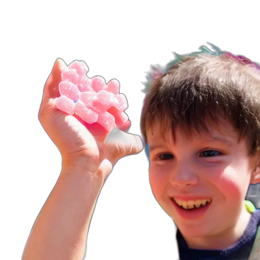 flower, creature, weapon, crown transparent PNG cut-out