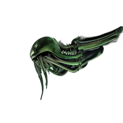 mask, jewelry, creature, dragon transparent PNG cut-out