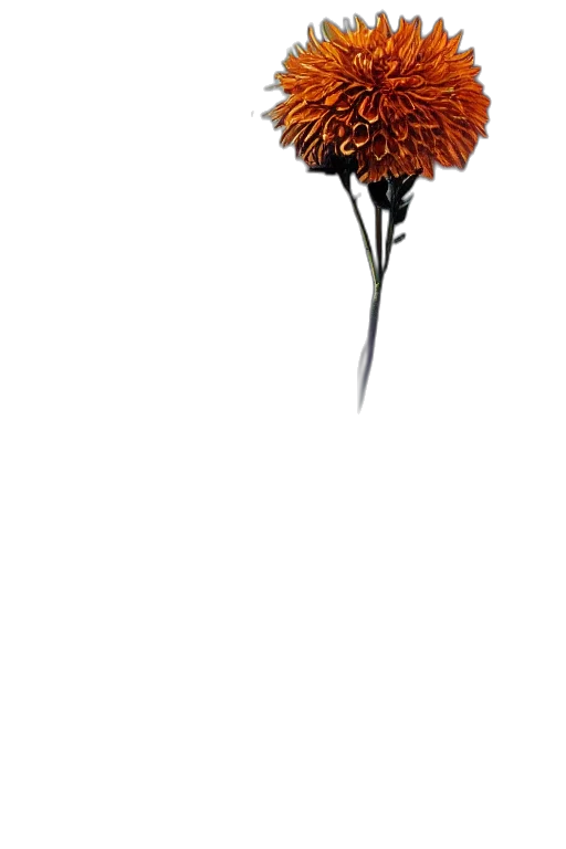 flower, staff, crown, umbrella transparent PNG cut-out