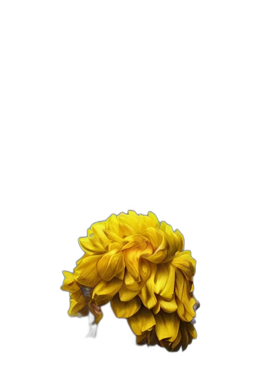flower, crown, hair, staff transparent PNG cut-out