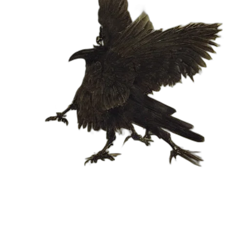 animal, dragon, creature, staff transparent PNG cut-out