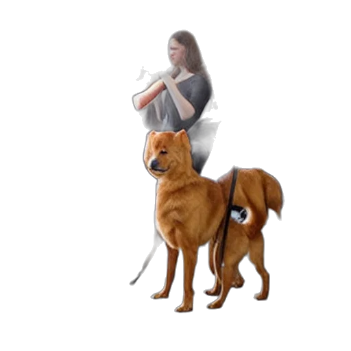 animal, staff, creature, weapon transparent PNG cut-out