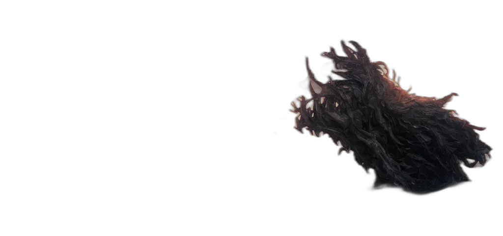hair, mask, crown, dragon transparent PNG cut-out