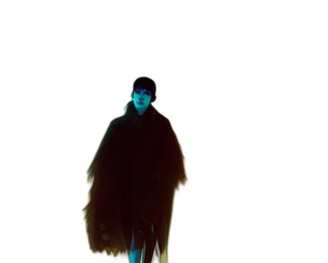 jacket, hair, creature, dress transparent PNG cut-out
