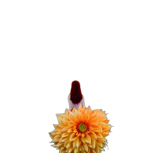 flower, crown, staff, hair transparent PNG cut-out