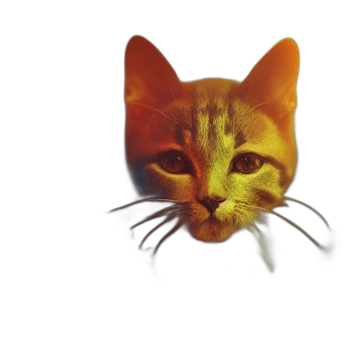 animal, face, creature, hat transparent PNG cut-out