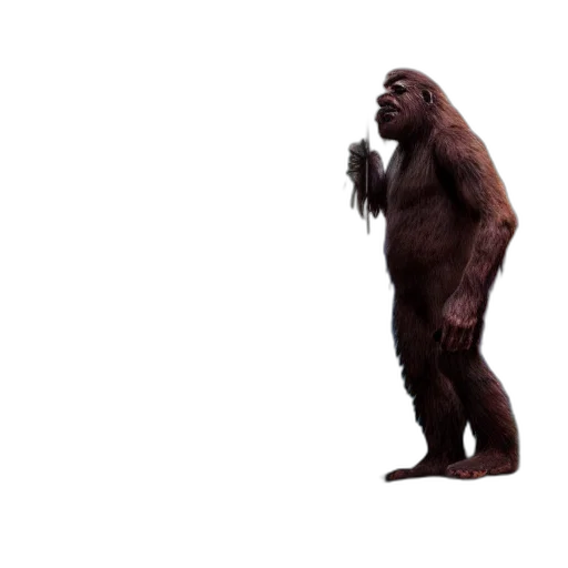 animal, creature, staff, face transparent PNG cut-out
