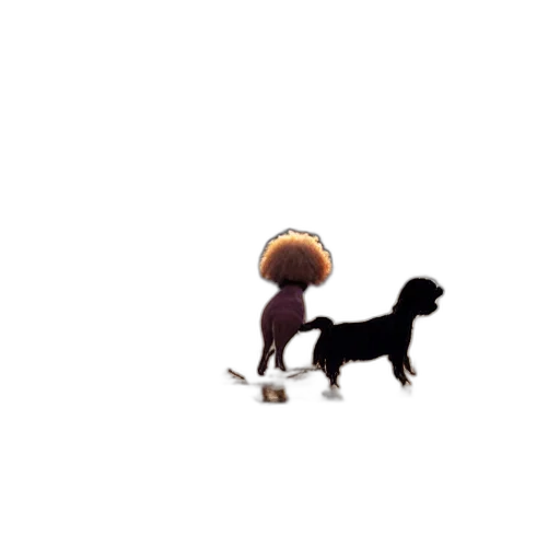 umbrella, animal, staff, hat transparent PNG cut-out
