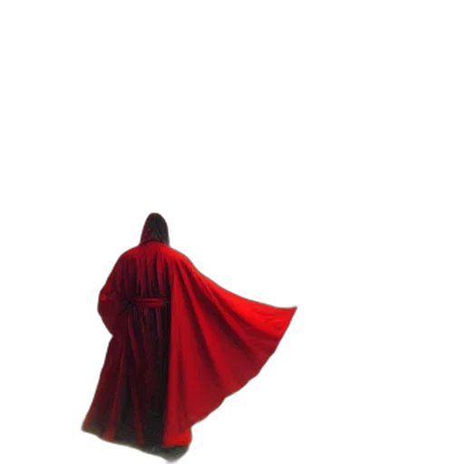 dress, jacket, staff, umbrella transparent PNG cut-out
