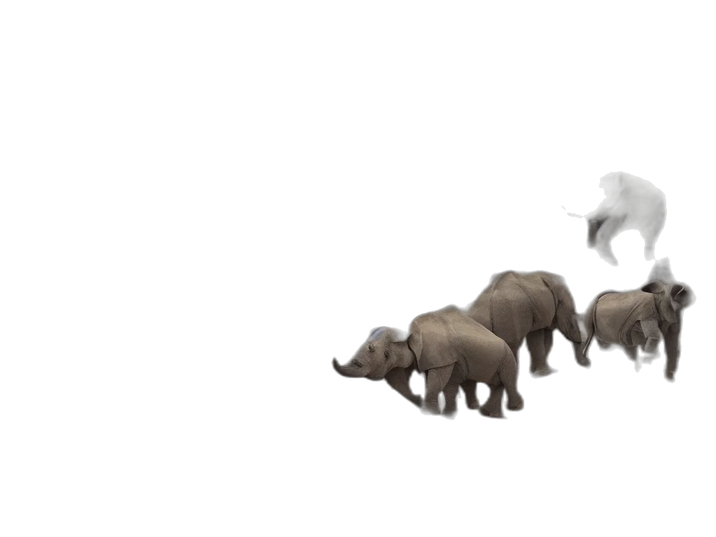 animal, creature, 3d render, concept art transparent PNG cut-out